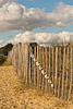 120922-4307 Fence on the dunes at Walberswick (Suffolk)