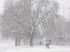 070208-2289 Snow flurry on Midsummer Common, Cambridge (UK)