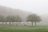 151102-2751 A foggy morning on Jesus Green, Cambridge