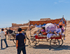 070706-2262 Donkeys pulling wagons in Gaochang (Turfan, Xinjiang)