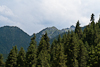 070701-2027 West White Poplar Gully landscape (Xinjiang)