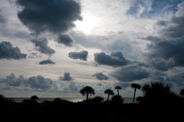 Cape Canaveral sand dunes (Florida)