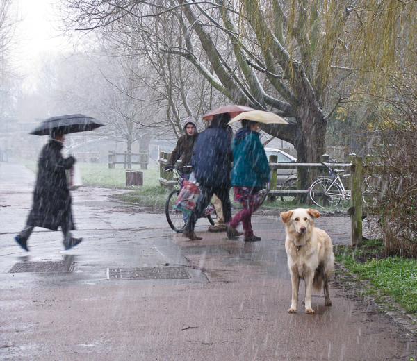 A snowy-rainy day on Midsummer Common, Cambridge