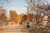 071105-3259 Autumn in Barskoon (Issyk-Kul Oblast, Kyrgyzstan)