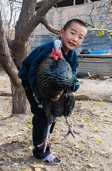 Kyrgyz boy with male turkey (in Barskoon)