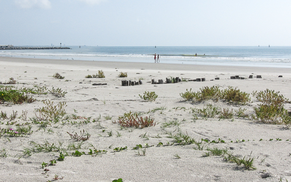 Erosion defenses on the beach at Cape Canaveral (Florida)