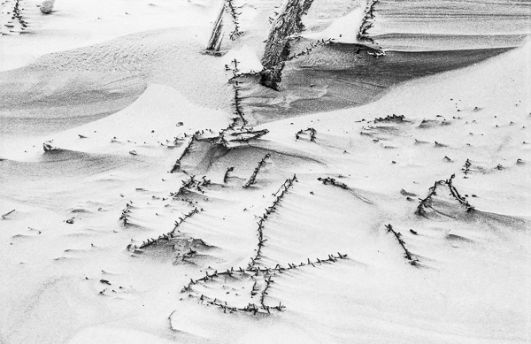 Barbed wire on the Dune de Pilat (near Arcachon), Gironde