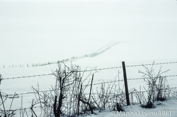 Snowy landscape near Coldrum Chambered Tomb, Neolithic Kent