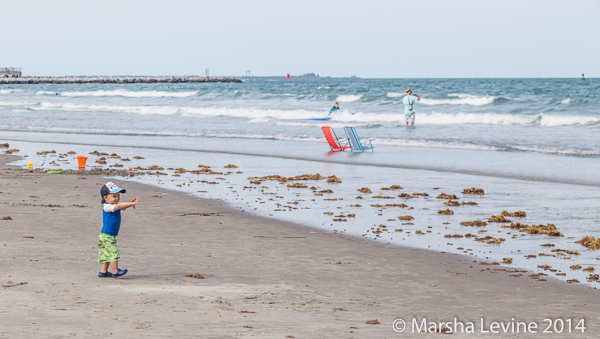 Toddler exploring the beach (Jetty Park, Cape Canaveral)
