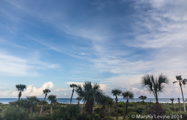 View of the dunes from Shorewood Drive balcony, Cape Canaveral