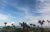 140529-5380 View of the dunes from Shorewood Drive balcony, Cape Canaveral