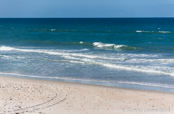 Cart tracks on Playalinda Beach, Canaveral National Seashore