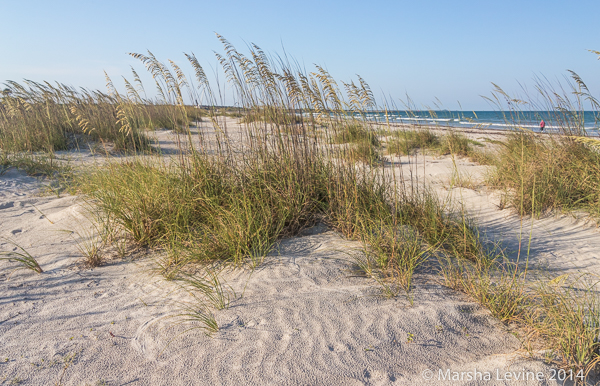 Cape Canveral beach with Sea Oats