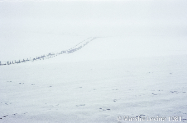 Snowy landscape near Coldrum Chambered Tomb, Neolithic Kent