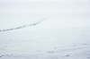 811227-091-17 Snowy landscape near Coldrum Chambered Tomb, Neolithic Kent