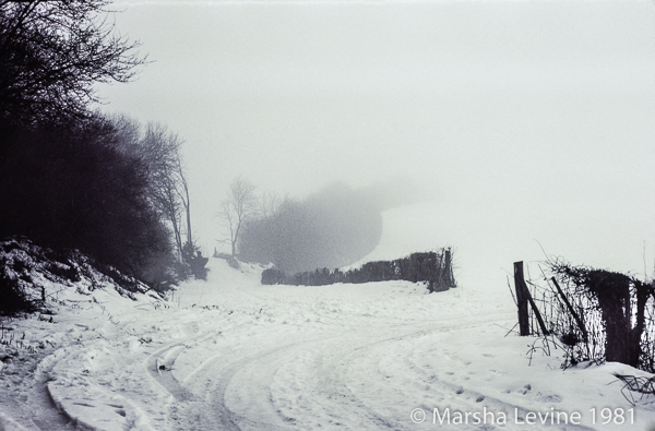 Snowy landscape near Coldrum Chambered Tomb, Neolithic Kent