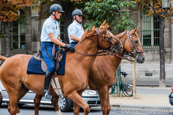 The French Republican Guard cavalry exercising, Paris