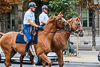 100826-8182 The French Republican Guard cavalry exercising, Paris