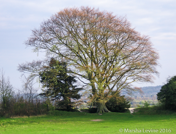 Ancient Wessex landscape