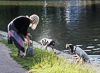 140714-5874 Exercising dogs in the River Cam