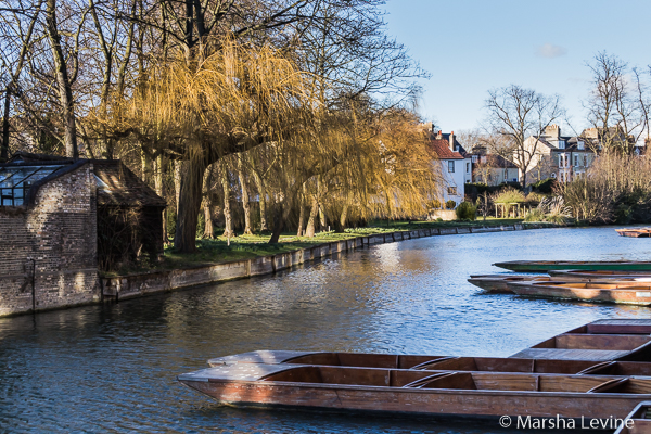 Punts along the River Cam, Cambridge