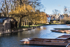 150303-7176 Punts along the River Cam, Cambridge