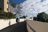 150815-1370 Cyclist on the Fort St George Bridge, Cambridge