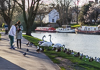 160223-3966 Photographing waterfowl on the River Cam