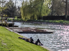 160419-4708 Sunbathing on the bank of the River Cam