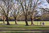 150303-7143 Walker and cyclist on Jesus Green, Cambridge