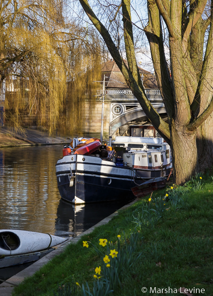 Dutch barge, the Vrijheid ('Freedom') from Leiden