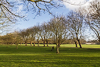 160327-4300 Lady walking her dogs across Jesus Green, Cambridge