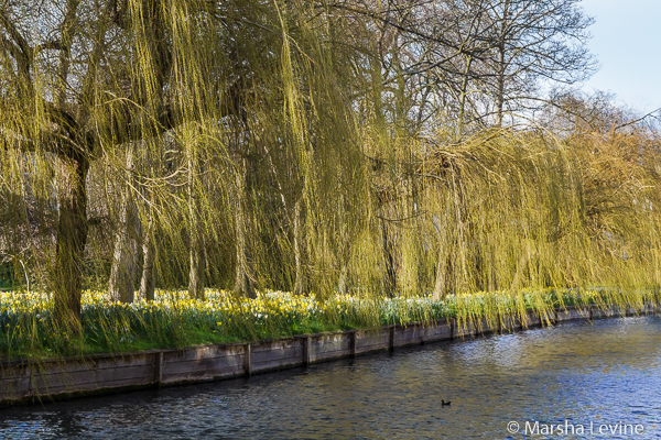 A view of the Fellows' Garden, Magdalene College, Cambridge