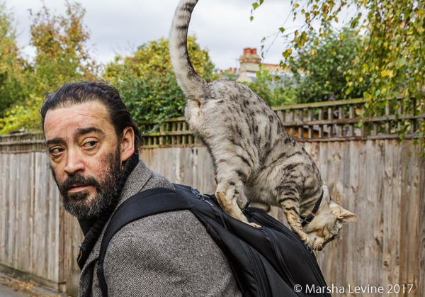 Man with a cat on his back, Cambridge